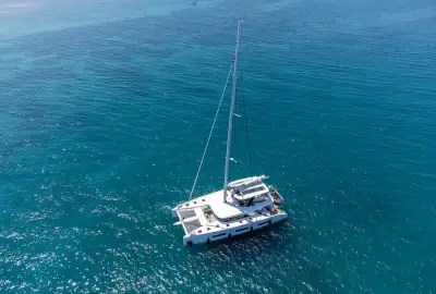 Seaductive Orca - Photo 2