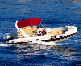 Barracuda 730