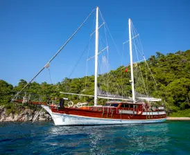 Santa Maria