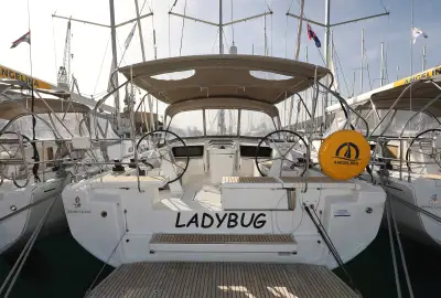 Ladybug - Photo 2