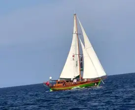 Mandalina