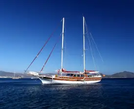 Perrinita