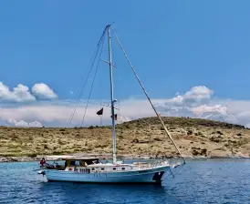 Zorbas