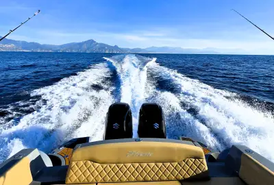 Black Shark - Photo 3