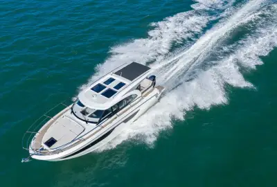Falcon - Photo 5