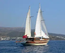 Remo
